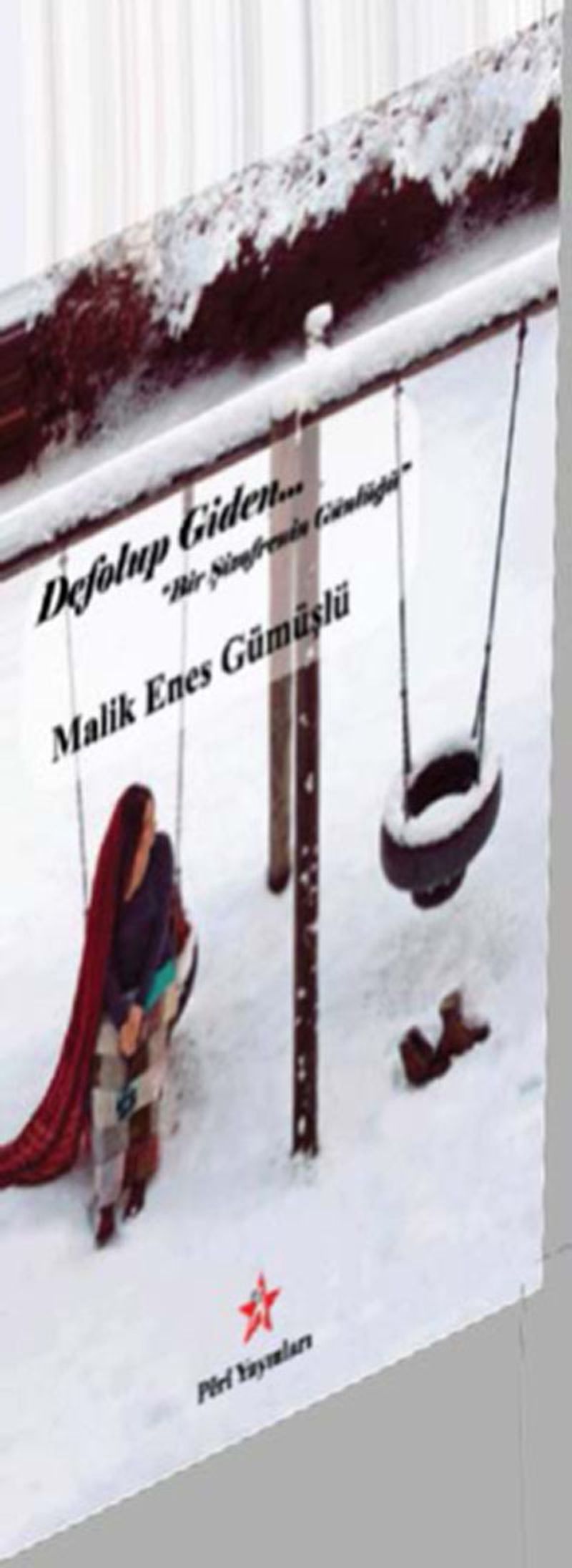 Defolup Giden Bir Şizofrenin Günlüğü kitap kapağı