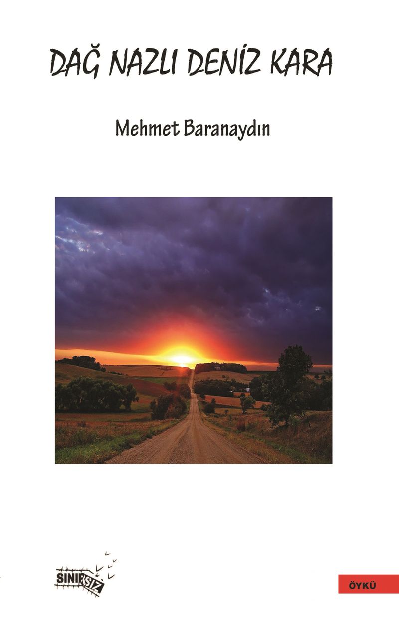 Dağ Nazlı Deniz Kara kitap kapağı