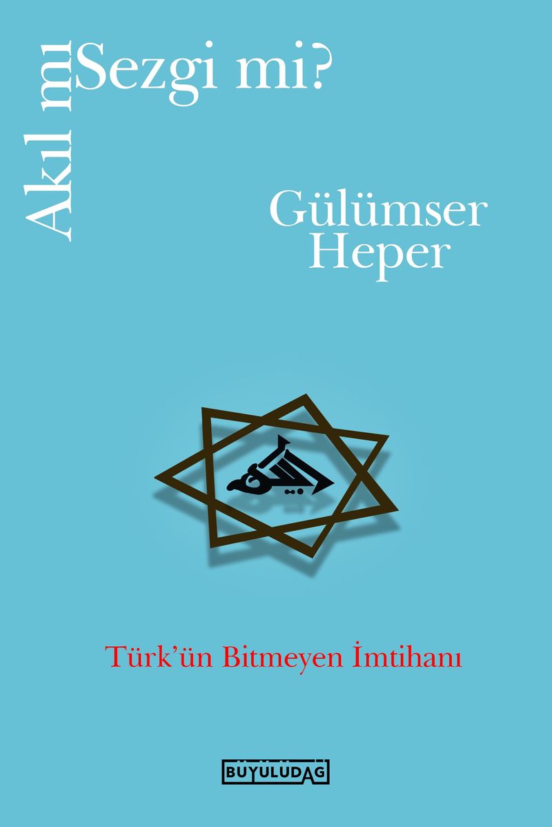 Akıl mı Sezgi mi? kitap kapağı