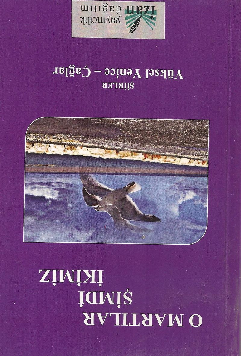 O Martılar Şimdi İkimiz kitap kapağı