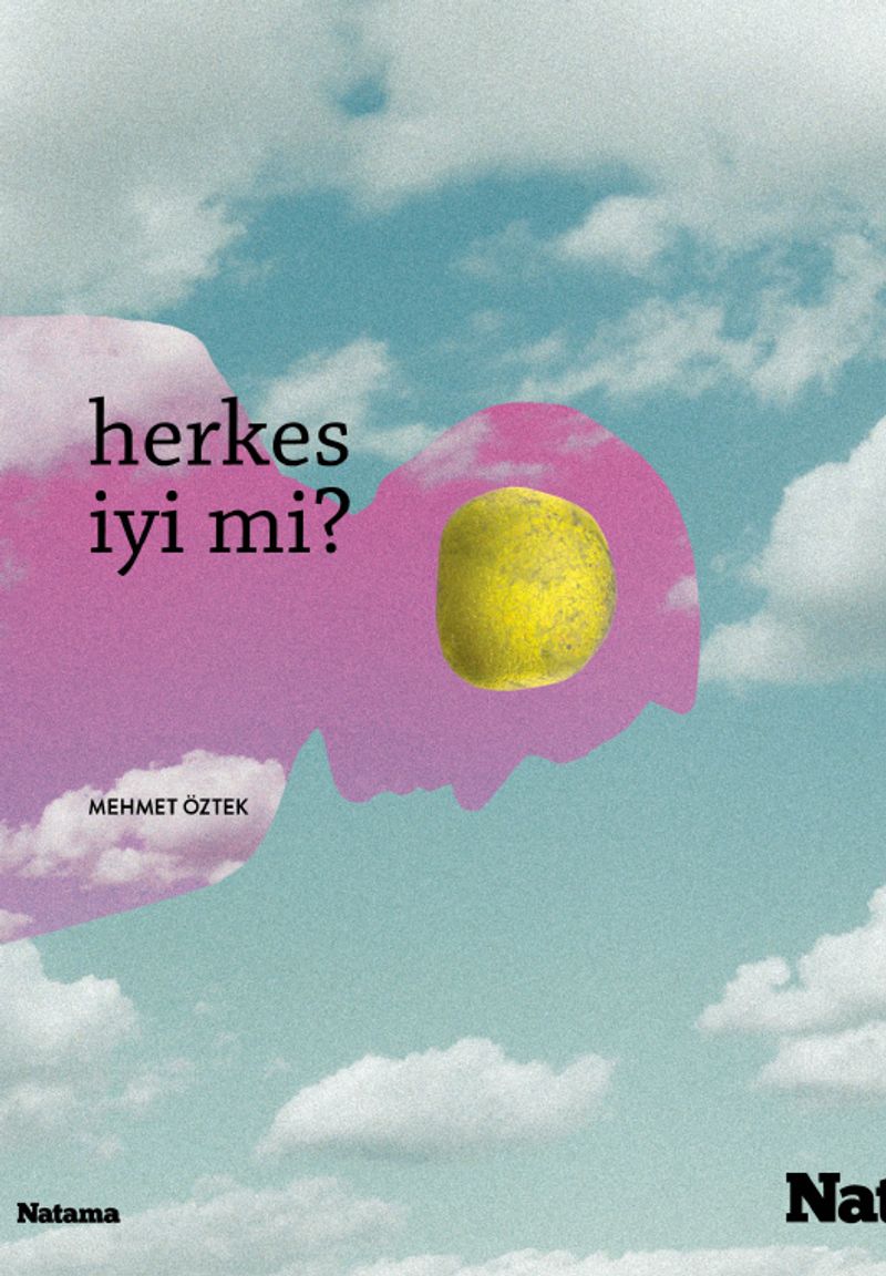 Herkes İyi mi? kitap kapağı