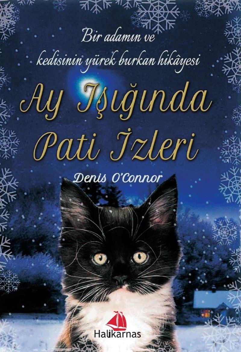 Ay Işığında Pati İzleri kitap kapağı