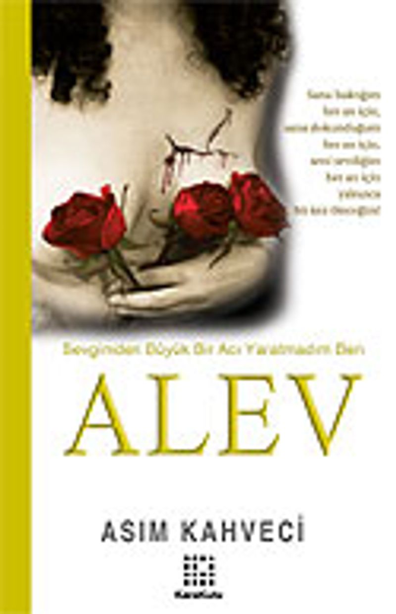 Alev kitap kapağı
