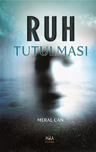 Ruh Tutulması kitap kapağı