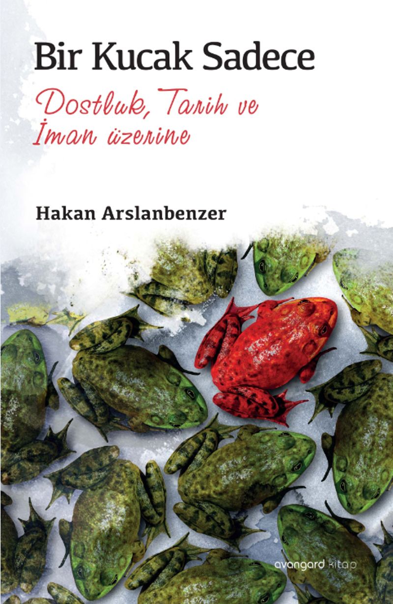 Bir Kucak Sadece kitap kapağı