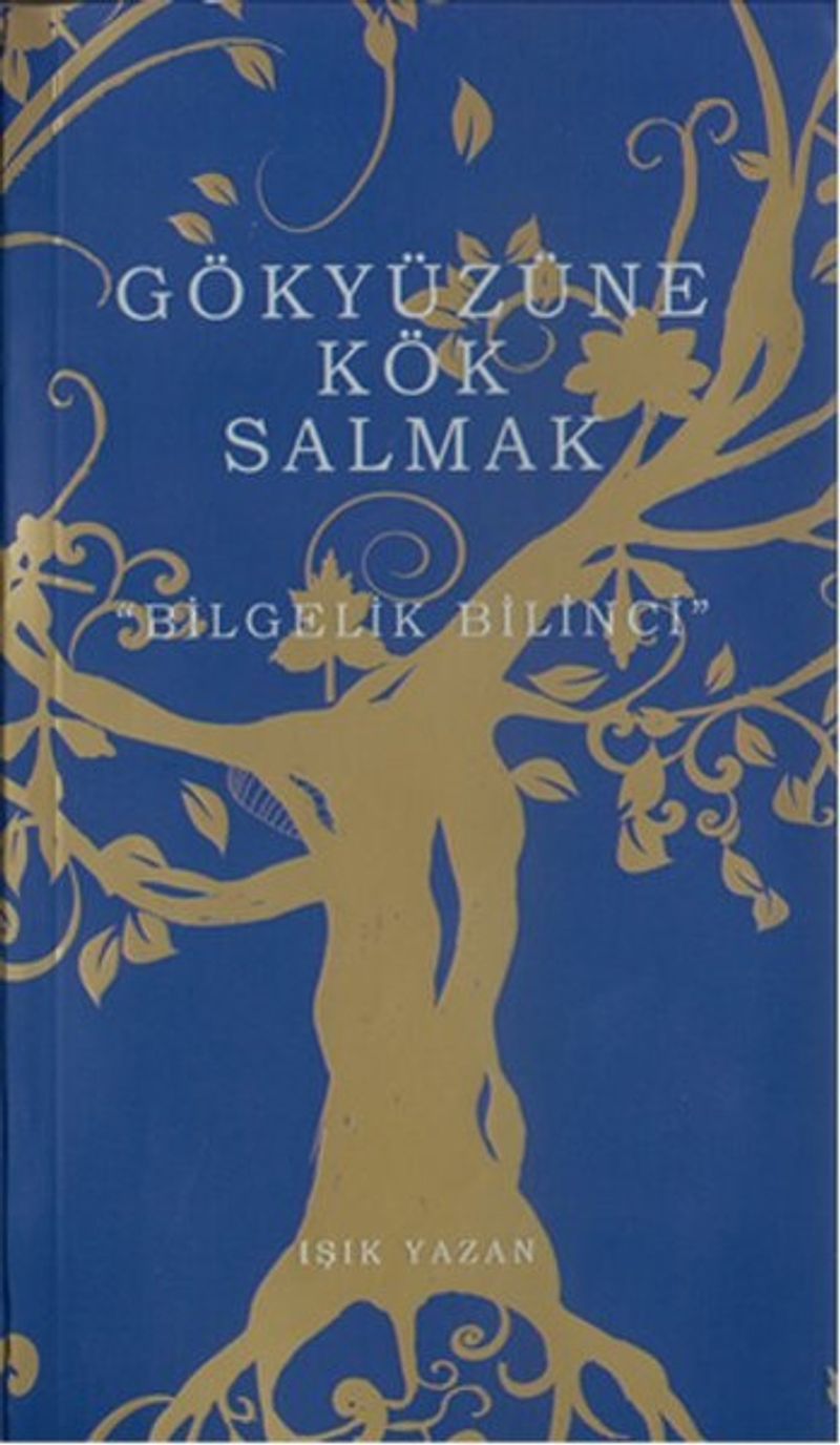 Gökyüzüne Kök Salmak kitap kapağı