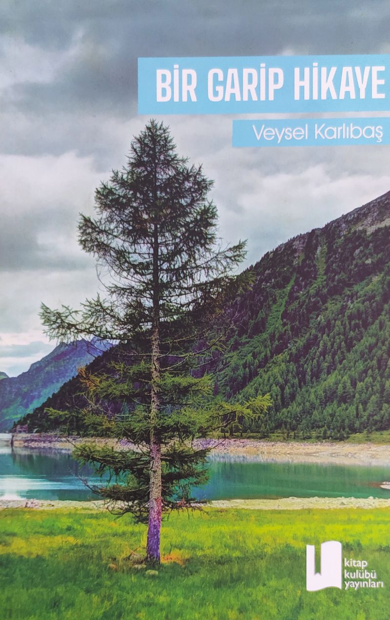 Bir Garip Hikaye kitap kapağı