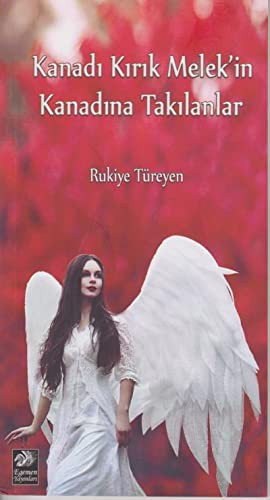 Kanadı Kırık Melek'in Kanadına Takılanlar kitap kapağı