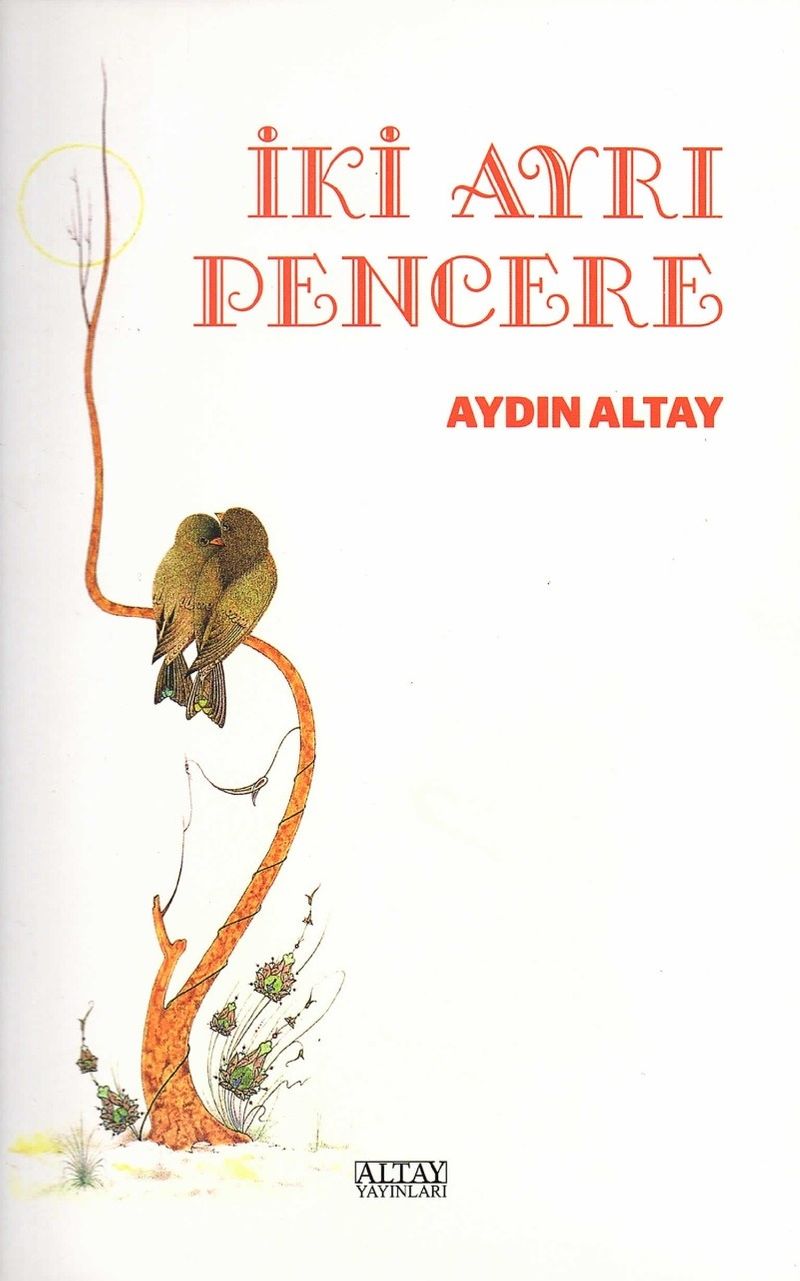 İki Ayrı Pencere kitap kapağı