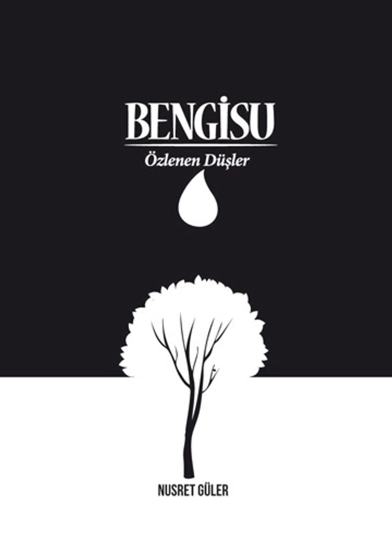 Bengisu Özlenen Düşler kitap kapağı