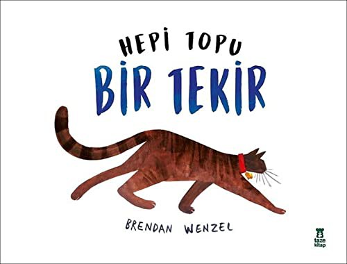 Hepi Topu Bir Tekir kitap kapağı