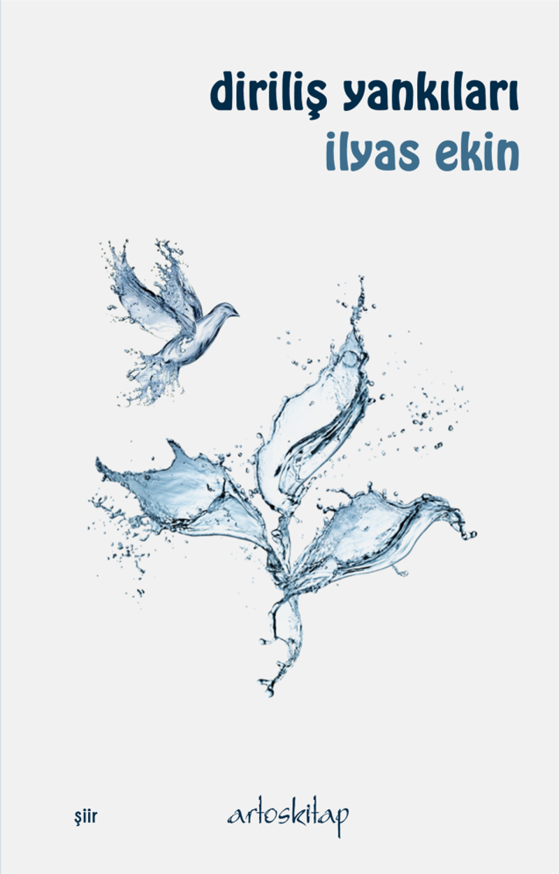 Diriliş Yankıları kitap kapağı