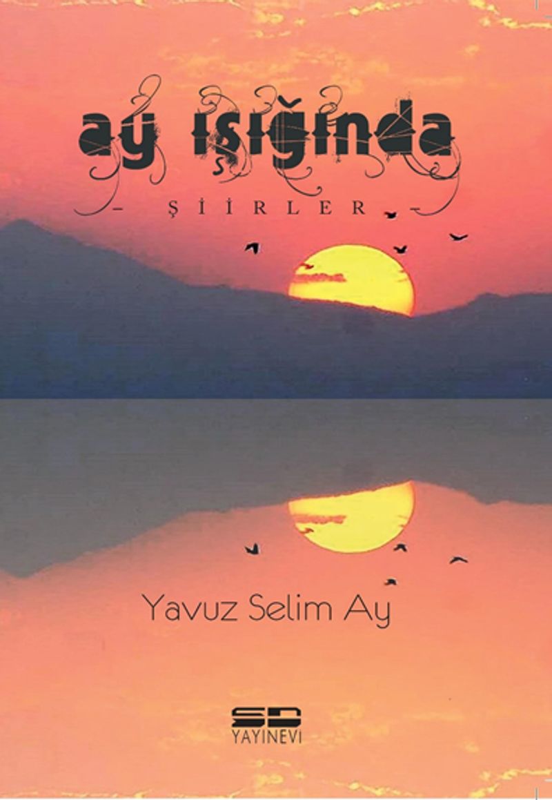Ay Işığında kitap kapağı