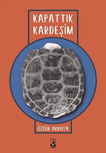 Kapattık Kardeşim kitap kapağı