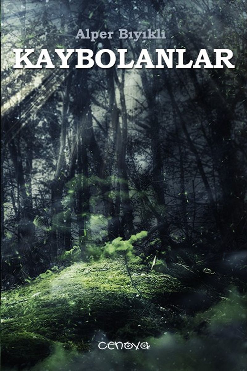 Kaybolanlar kitap kapağı