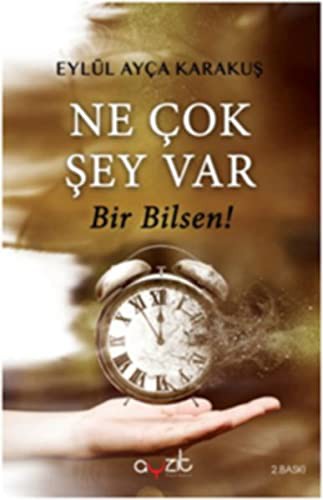 Ne Çok Şey Var Bir Bilsen kitap kapağı