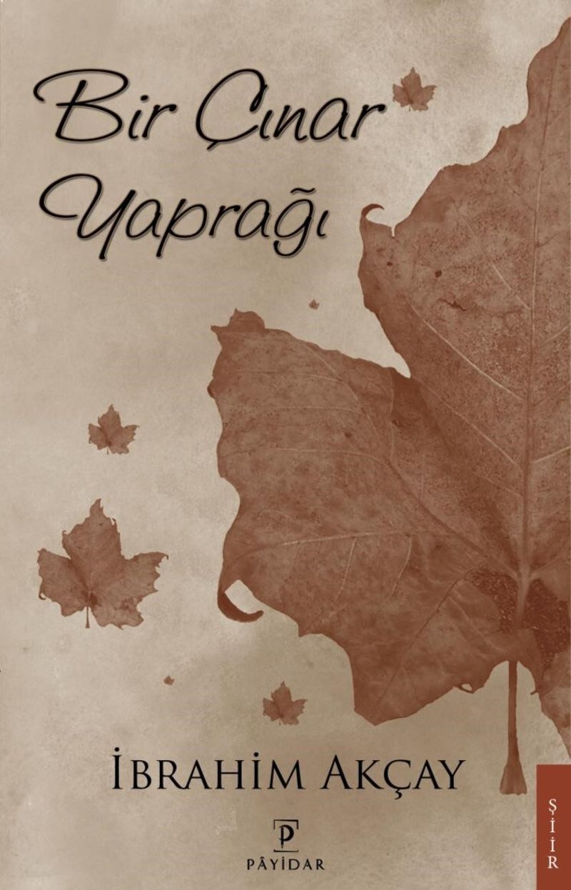 Bir Çınar Yaprağı kitap kapağı