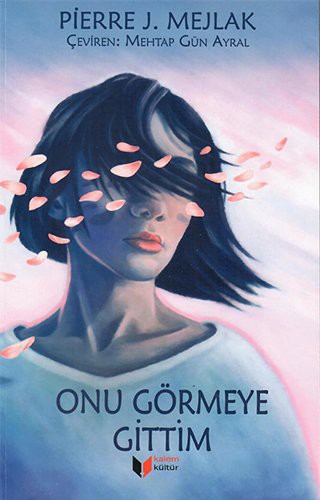 Onu Görmeye Gittim kitap kapağı