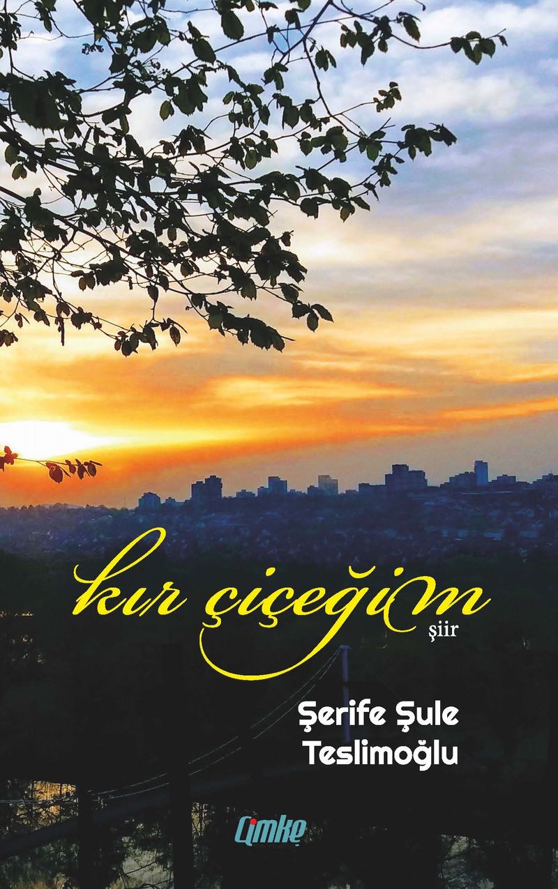Kır Çiçeğim kitap kapağı