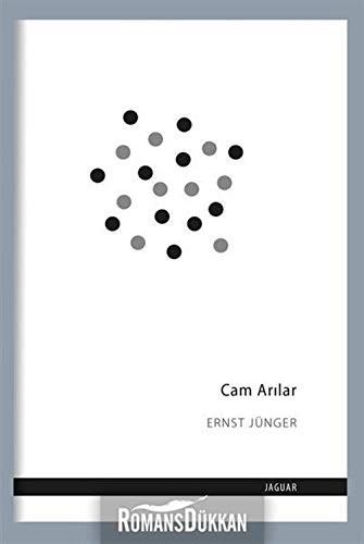 Cam Arılar kitap kapağı