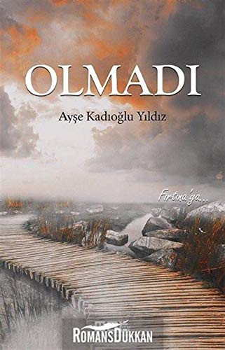 Olmadı kitap kapağı