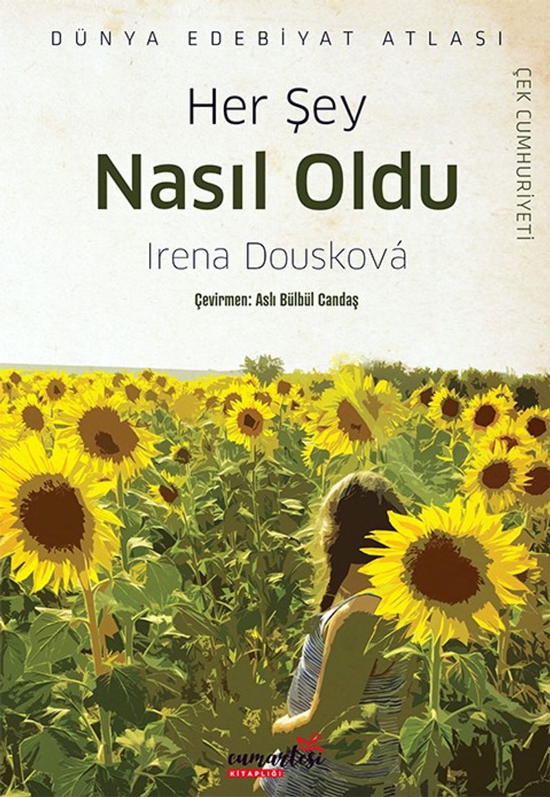 Her Şey Nasıl Oldu kitap kapağı