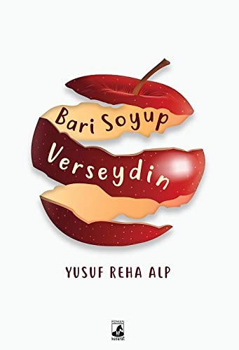 Bari Soyup Verseydin kitap kapağı