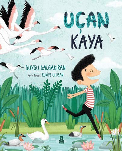 Uçan Kaya kitap kapağı