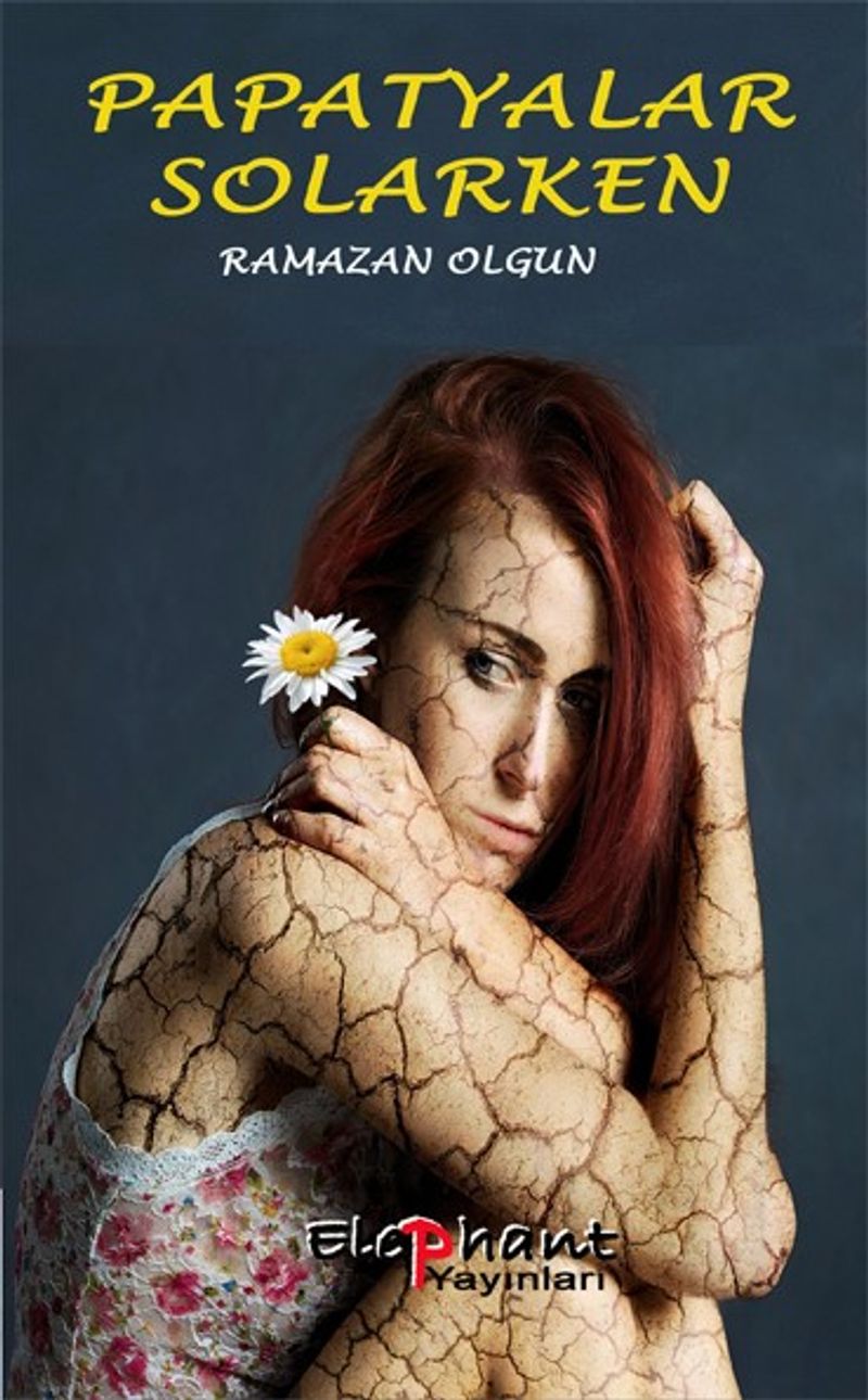 Papatyalar Solarken kitap kapağı