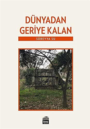Dünyadan Geriye Kalan kitap kapağı