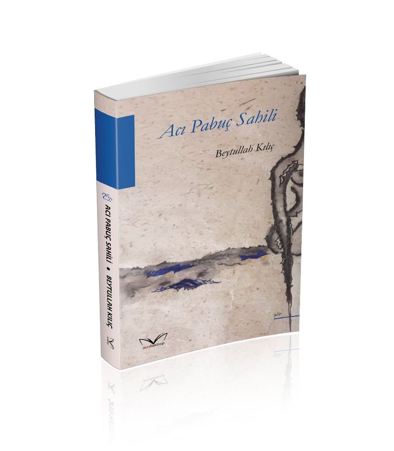 Acı Pabuç Sahili kitap kapağı