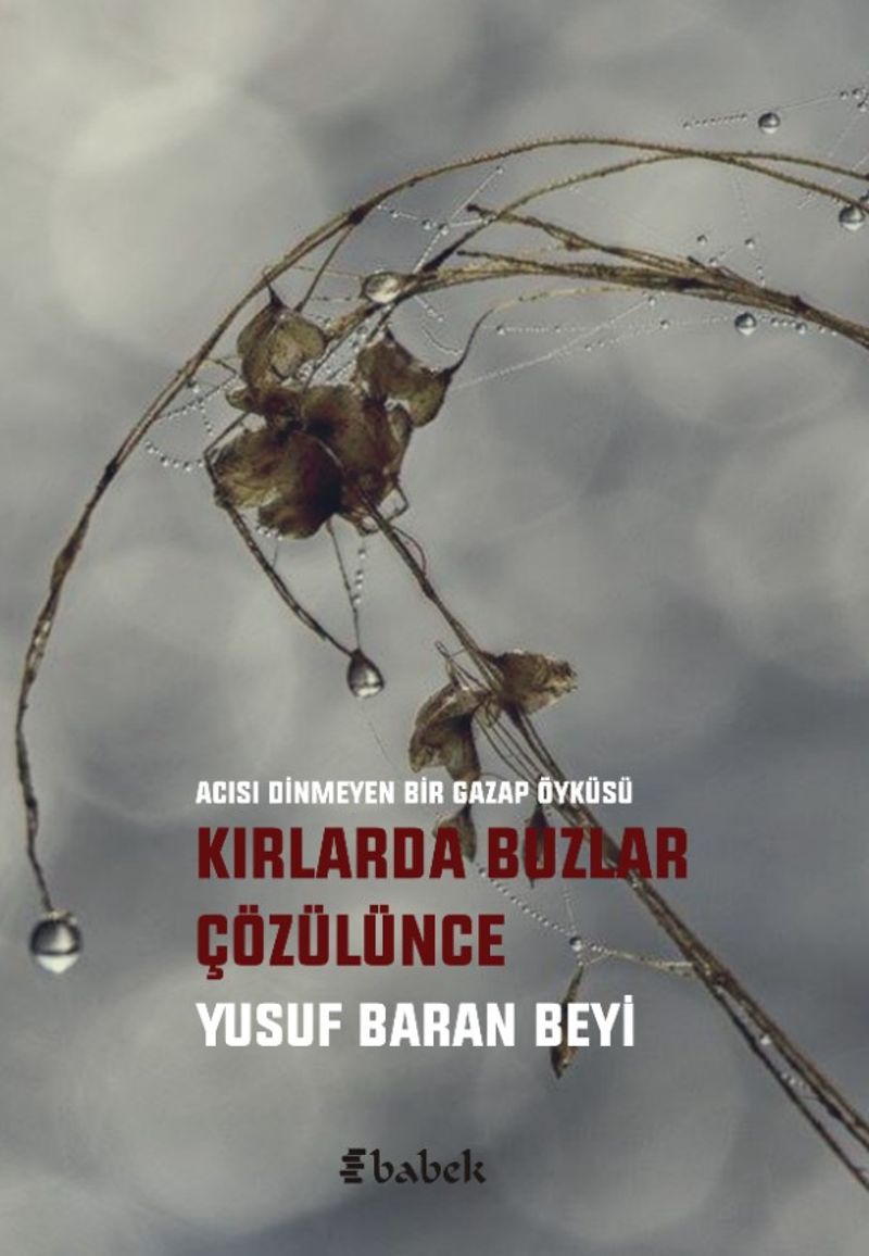 Kırlarda Buzlar Çözülünce kitap kapağı