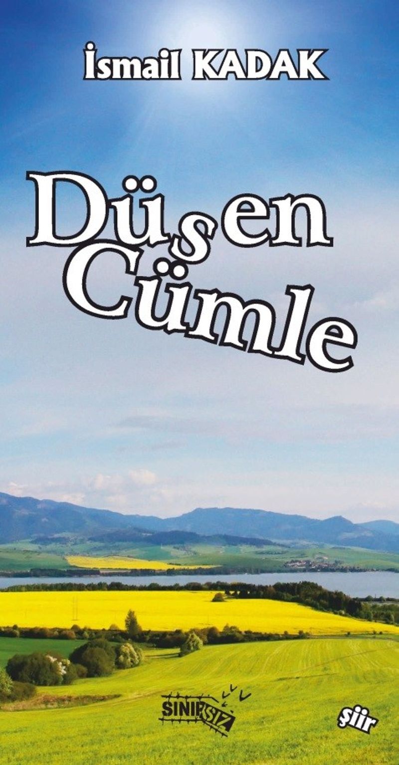 Düşen Cümle kitap kapağı