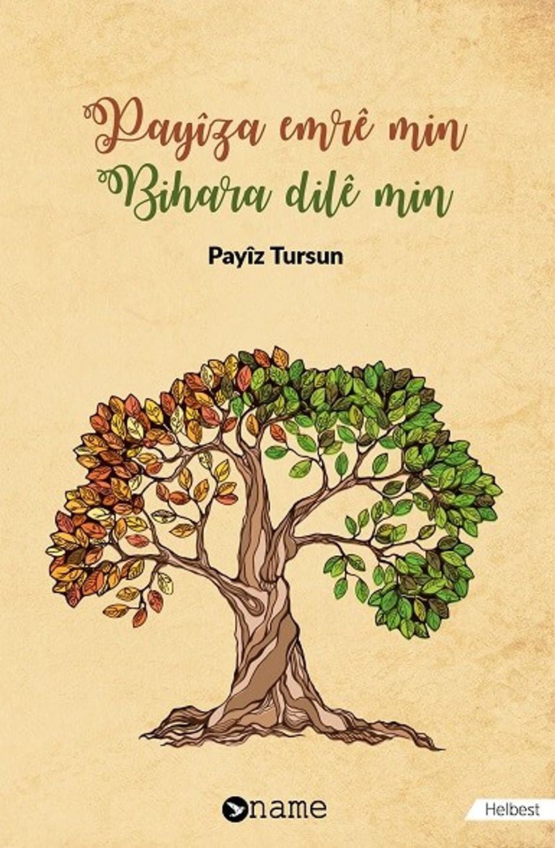 Payiza Emre Min Bihara Dile Min kitap kapağı