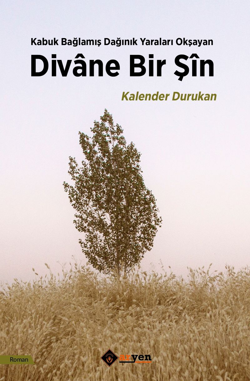 Divane Bir Şin kitap kapağı