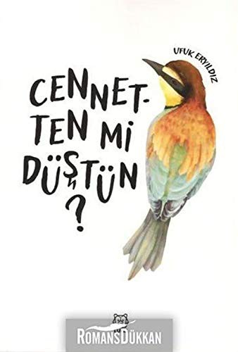 Cennetten mi Düştün? kitap kapağı