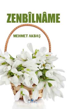 Zenbilname kitap kapağı