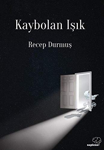 Kaybolan Işık kitap kapağı