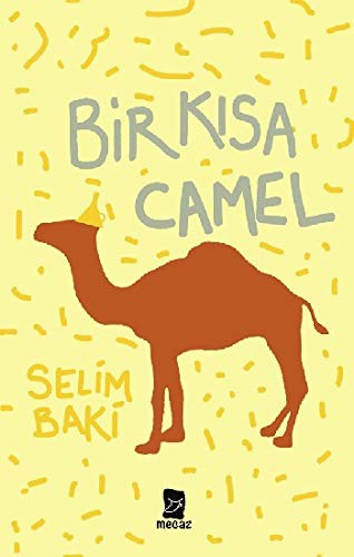 Bir Kısa Camel kitap kapağı