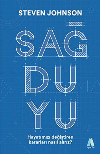 Sağduyu / Hayatımızı değiştiren kararları nasıl alırız? kitap kapağı
