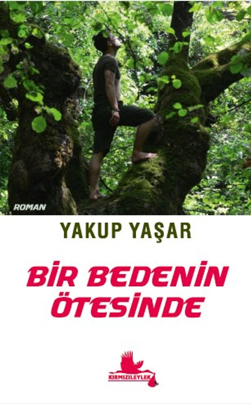 Bir Bedenin Ötesinde kitap kapağı