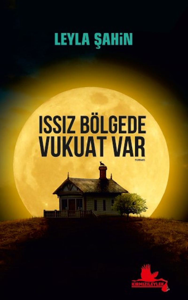 Issız Bölgede Vukuat Var kitap kapağı