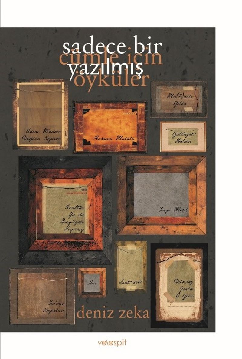 Sadece Bir Cümle İçin Yazılmış Öyküler kitap kapağı