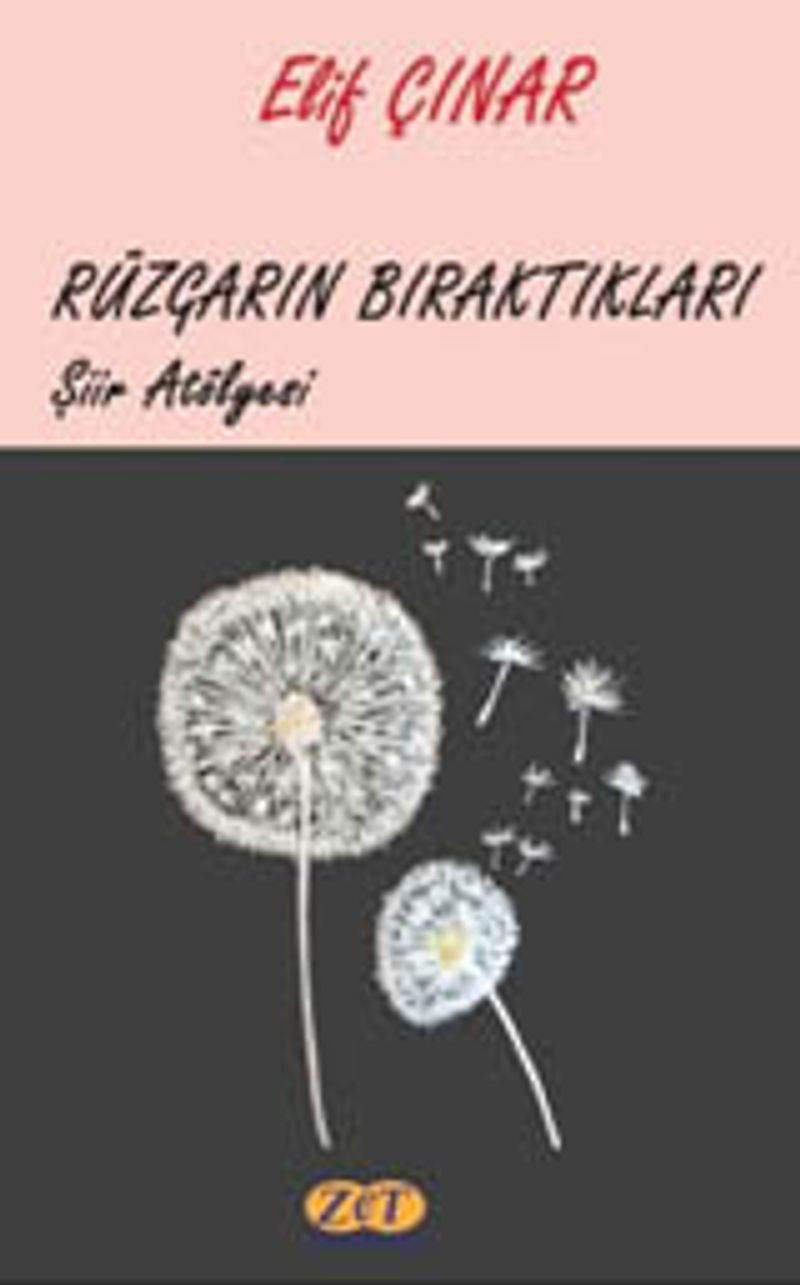 Rüzgarın Bıraktıkları kitap kapağı