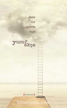 Sana Bir Şiirim Var! kitap kapağı