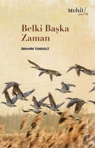 Belki Başka Zaman kitap kapağı