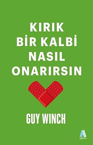 Kırık Bir Kalbi Nasıl Onarırsın kitap kapağı