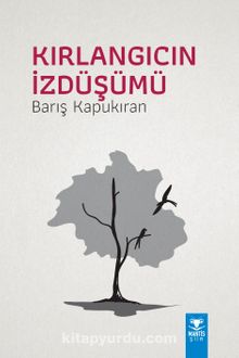 Kırlangıcın İzdüşümü kitap kapağı