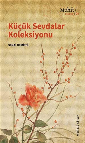 Küçük Sevdalar Koleksiyonu kitap kapağı