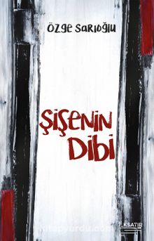 Şişenin Dibi kitap kapağı